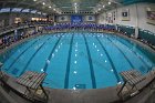 Swimming & Diving vs RWU  Swimming & Diving vs Roger Williams University. - Photo by Keith Nordstrom : Wheaton, Swimming
